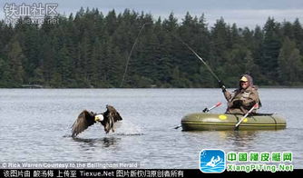 禿鷹突襲釣魚艇，男子荒野歷險(xiǎn)記